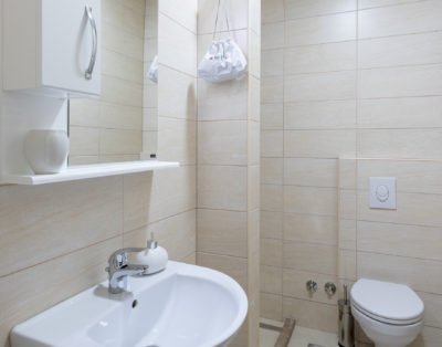 Meadow & Old Lady House