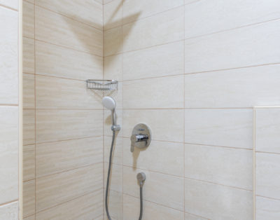 Meadow & Old Lady House