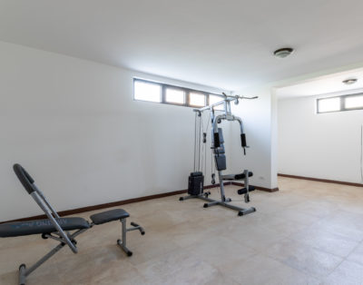 Meadow & Old Lady House