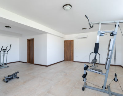 Meadow & Old Lady House