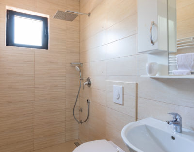 Meadow & Old Lady House