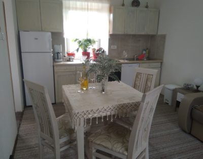 Meadow & Old Lady House